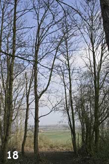 Vale view